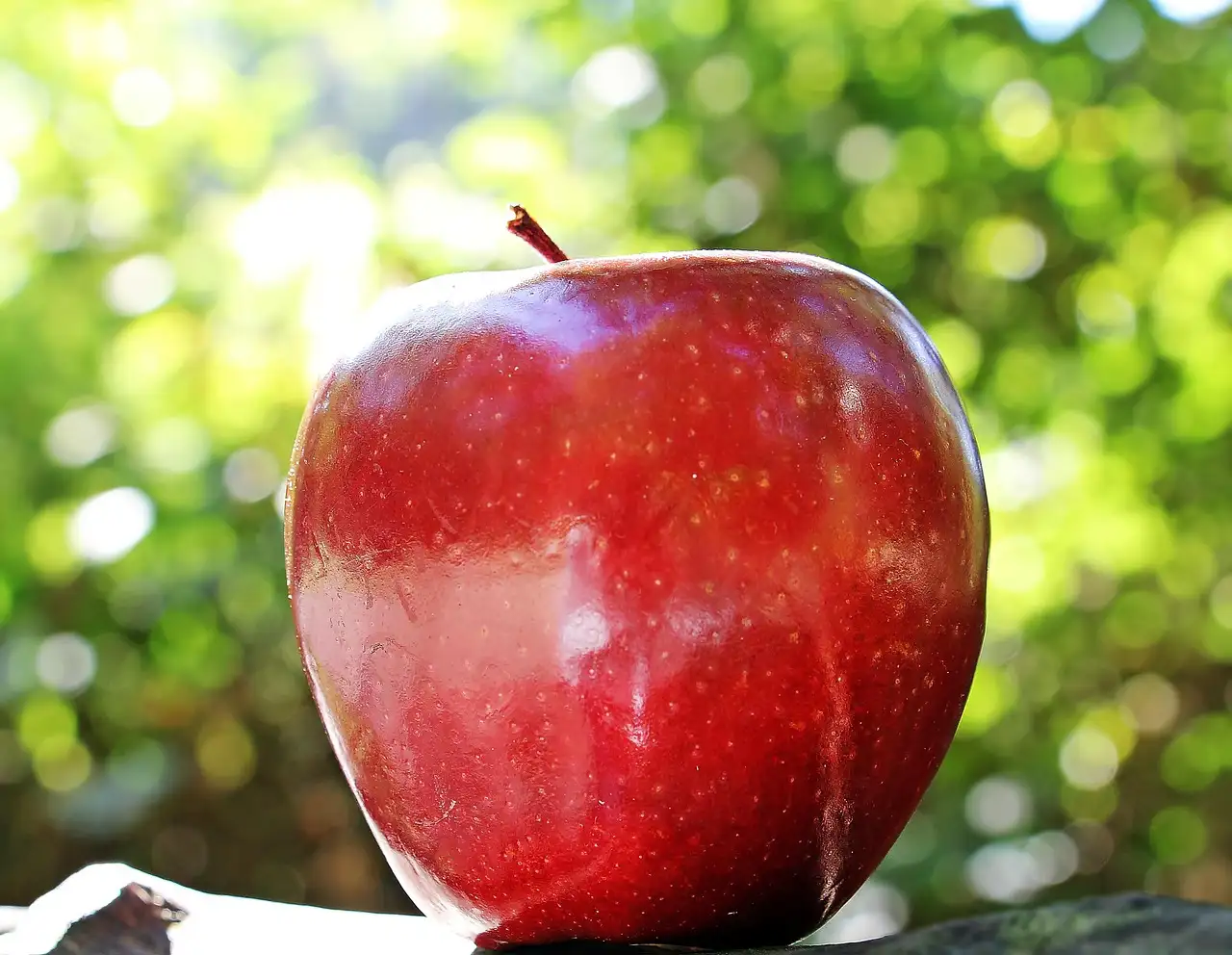 Apple kurse für senioren