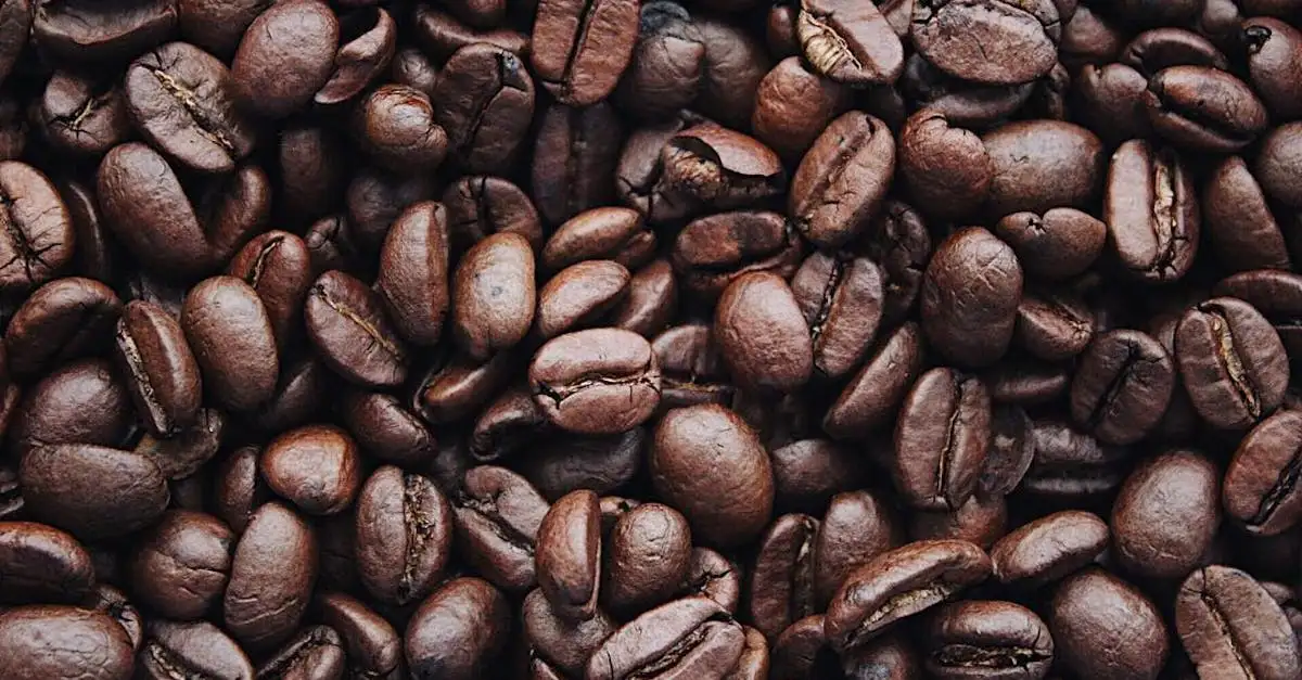 Barista kurse dortmund