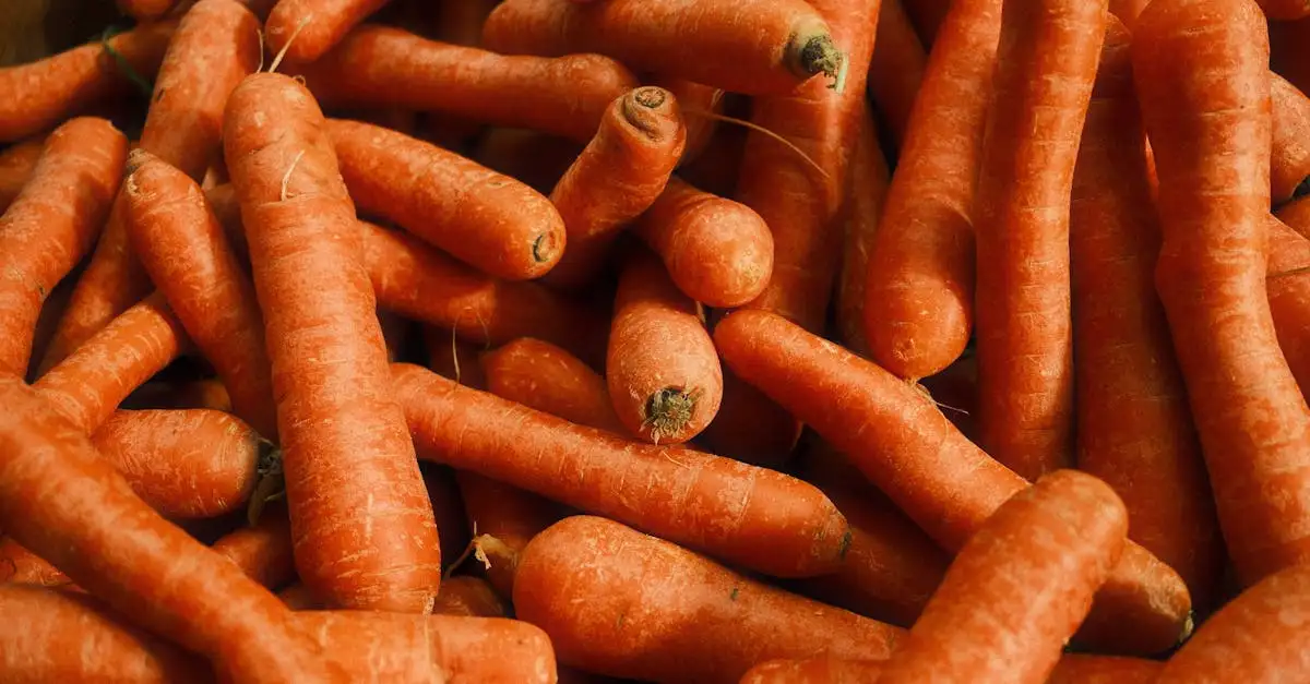 Kurse für gesunde ernährung