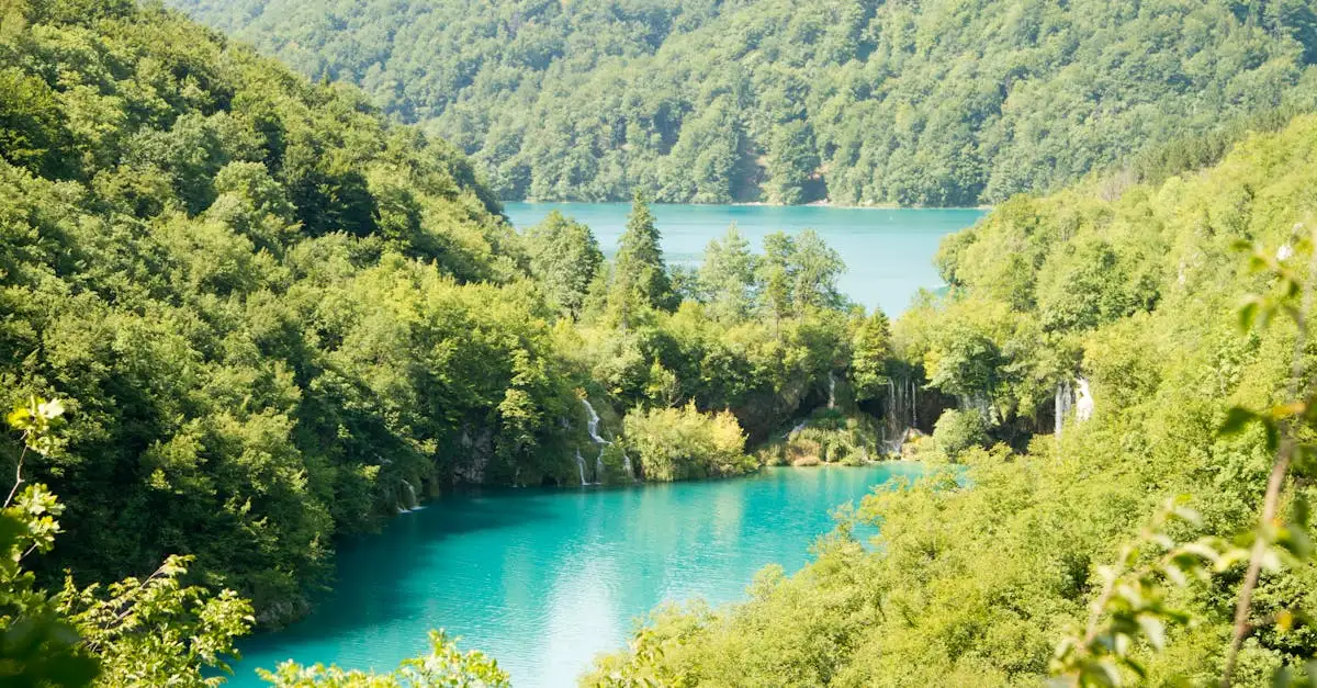 Kroatisch kurse
