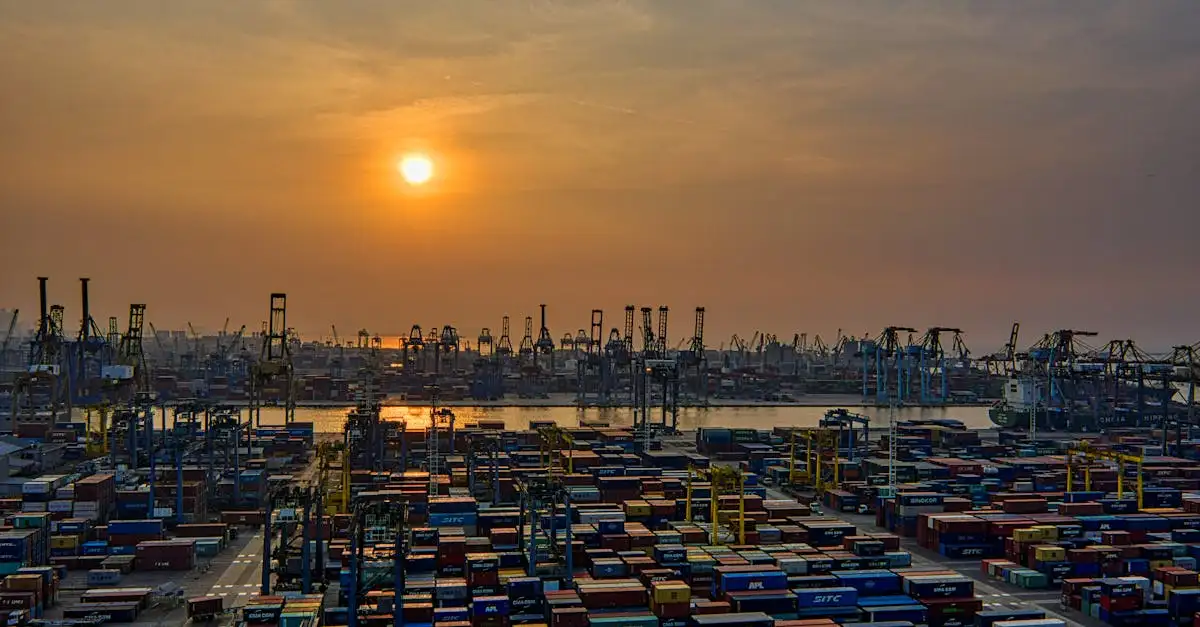 Zollkurse: Ihr Wegweiser für Import und Export
