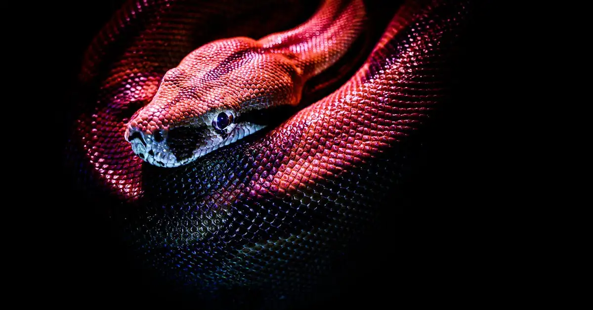 Kurse python