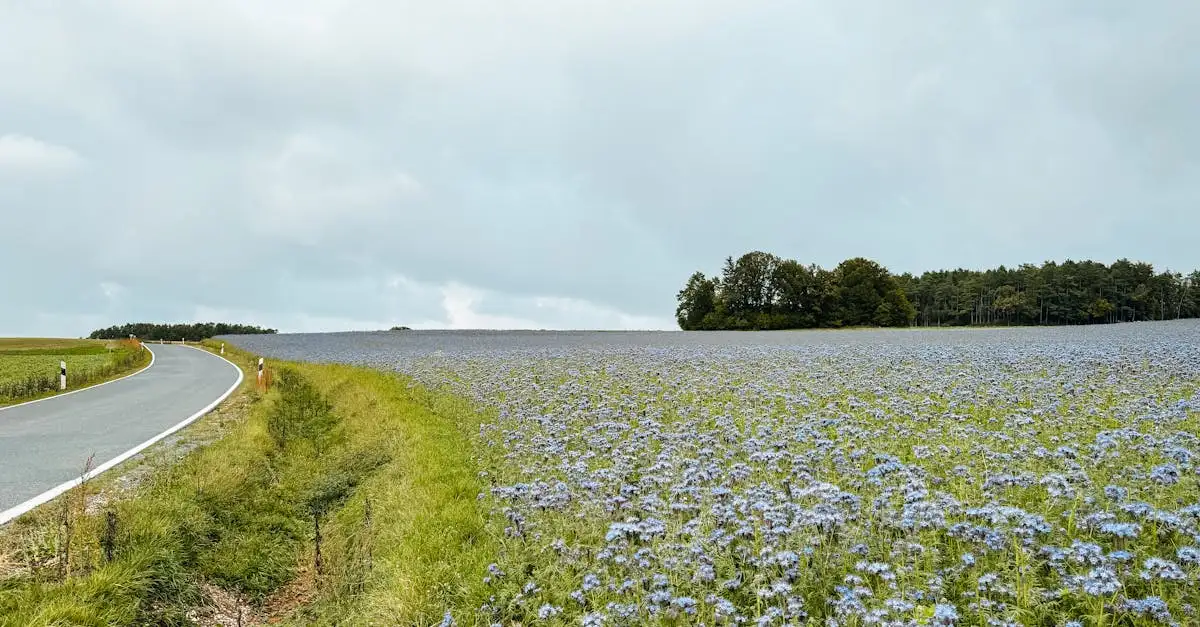 Vitalpark Heiligenstadt: Kurse und Angebote entdecken